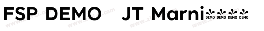 FSP DEMO   JT Marni字体转换